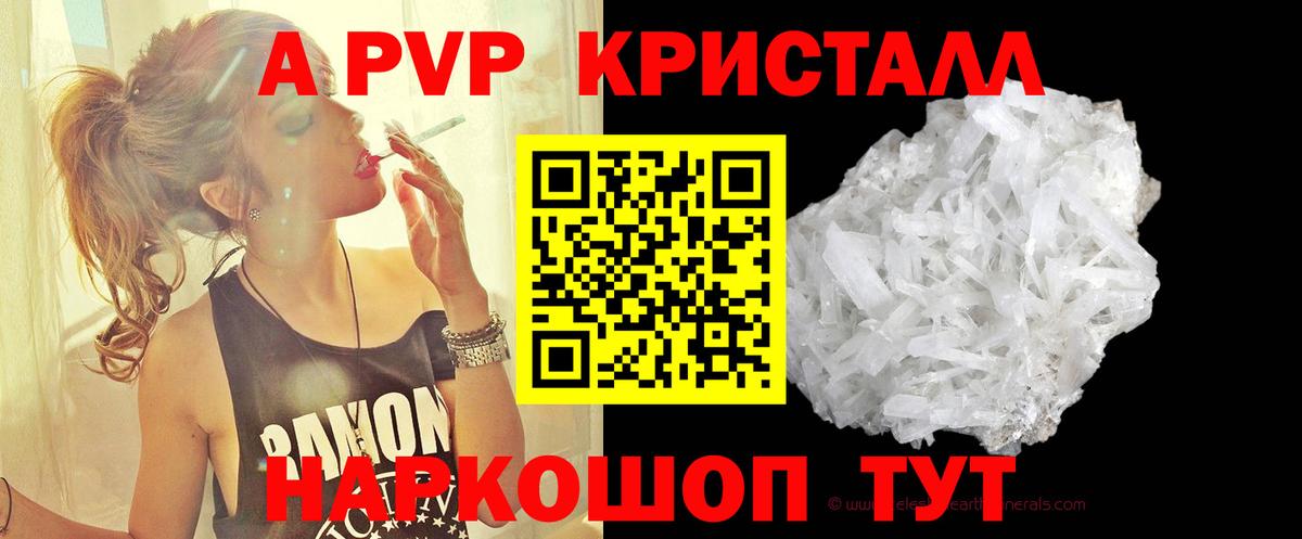 Альфа ПВП СК КРИС Архангельск