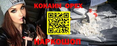 гидра Бердск