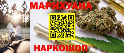 гидра Бердск