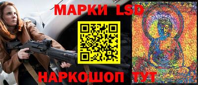 гидра Бердск