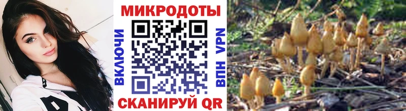 купить  сайты  Архангельск  Галлюциногенные грибы мицелий 