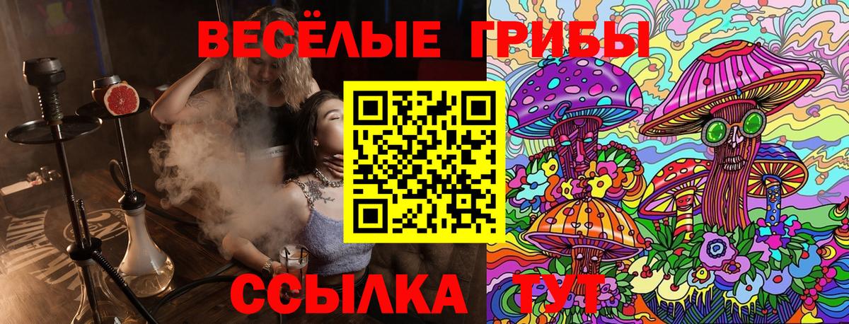 Архангельск  Галлюциногенные грибы ЛСД  Вход с VPN 